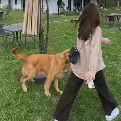 第一梯队